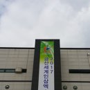 "2017 금산세계인삼엑스포" 국제행사 승인 쾌거 이미지