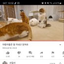 숭의동우체국 | 생리컵 입문 후기 / 그리고 지난날 중간저장 했던 주저리주저리. 왜 등록을 안누르니...