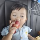 큰이모할머니 환갑날 시골 이미지