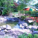 정선베다니자연농장 이미지