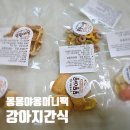 몽몽야옹 이미지