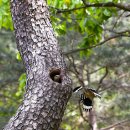 다람쥐공원 이미지