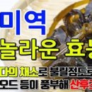 미역 효능 칼로리 미역국 효능 안좋은점 이미지