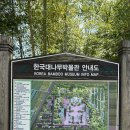 한국대나무박물관 | [담양] 광주근교 아이와 가볼만한 곳 “한국 대나무 박물관” 🎋(내돈내산/솔직후기)
