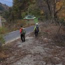 음정마을 이미지