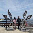 바우길 12구간 | 코리아 둘레길 해파랑길 28차 36,35-2 코스(금진항~한섬해변입구)