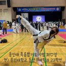 흑룡합기도 이미지