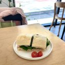 도곡동행동물병원 | 내가 사랑했던 모든 샌드위치에게 (2)🥪💌