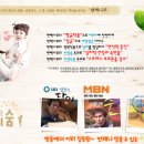 건강한편백나라