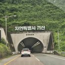 장작불 이야기 | 극한직업 장작불 옥수수가 먹고 싶어 직접 찾아갔습니다! 괴산 대학찰옥수수 솔직 후기