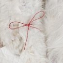 예산 위드엔젤 이미지