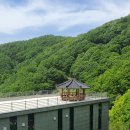 영산산림 이미지