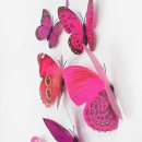 나비초등학교 이미지