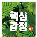 핵심감정 탐구 - 노승수 목사 이미지