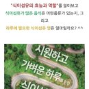 내몸의청소부