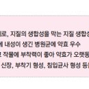 한농종묘사 이미지