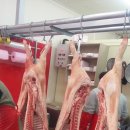 태성축산 이미지