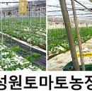 우리손 영암농장 Daum카페