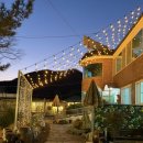 협동로 | 한겨울에도 OK! 부산 실내 애견 동반 가능한 초원집 장안사점 백숙 후기