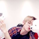 오비비
