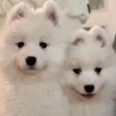 해봄동물병원 이미지