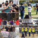 함박꽃웃음 붓꽃마을 이미지