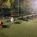 회성동170 이미지