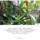 소마일농장 이미지