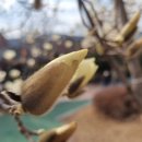 삼안공원 이미지