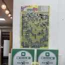 고양이카페 랙돌 이미지