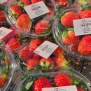 알로3 농장 이미지