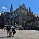 피그브라더스 이미지