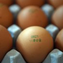 서산기쁨농장 이미지