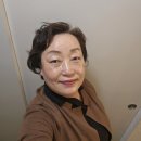 일주일 비가내리는데, 에녹 오늘은 멈추었다. Praise the Lord! 이미지