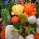 국수본가 이미지