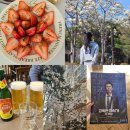차 주말 (울산 그리다빵,혼자 투썸/스벅, 역전할매 맥주, 봄꽃구경,★고독한 미식가 영화, 부산 아임...