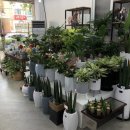 하당동주민센터 이미지