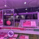 도담한우농장 이미지