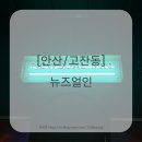 뉴즈얼인 비건 초이스 한입에 반한 식감과 매력적인 스텐딩바 후기