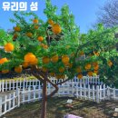 (주)제주유리의성 이미지