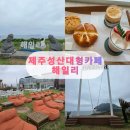 해일리 | 제주 성산 카페 추천 아이와 가기 좋은 대형카페 해일리 내돈내산 찐 후기