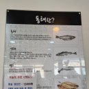 황금동태 | [부천 맛집] 송내역 황금동태 상동 본점 동태탕 해물찜 내돈내산 후기