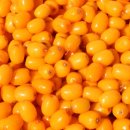 (주)비타민나무 이미지