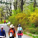 망우역문화코스 이미지