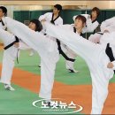 국가대표 열정태권도 이미지