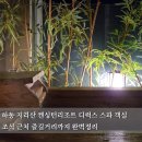 화개초등학교왕성분교장 | 하동 지리산 켄싱턴리조트 디럭스 스파 조식 근처 즐길거리까지 완벽정리