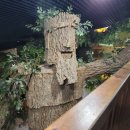 영인산산림박물관 | 아산 아이와 가볼 만한 곳 영인산 산림박물관