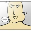 주식회사 쥬니쿠키