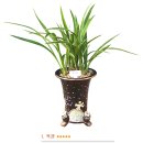 홍란농장 이미지