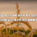 [생활 속의 복음]사순 제5주일- 부활의 영광 예고하신 예수님 이미지